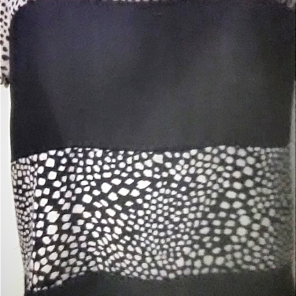 Animal print Claudia Richard Blouse - Picture 8 of 11